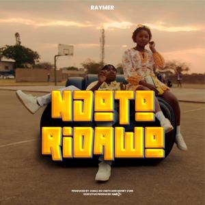Ndotoridawo