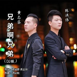 兄弟啊兄弟（DJ版）