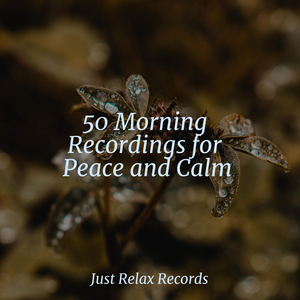 Chrono Aurora Ascension