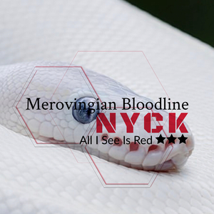 All I See Is Red (Original Mix)