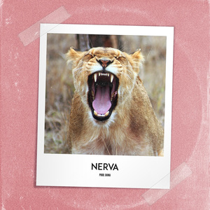 Nerva