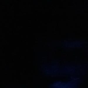 嘟噜哒滴嘟 伴奏