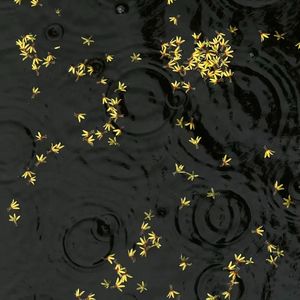 遗憾轨迹（Prod by FakbeBlood）