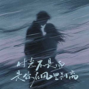 时光不是雨是你在风里别离