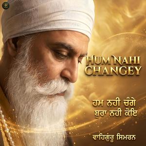 Hum Nahi Changey