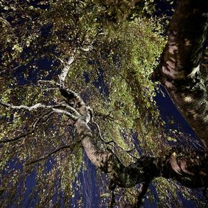 _rectify (feat. ilyakame)