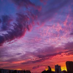 雾里 （cover：姚六一）