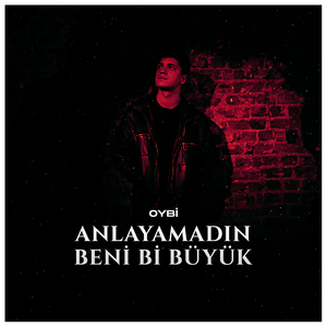 Anlayamadın Beni Bi