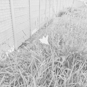 What Is This Ngempela