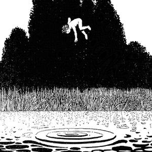 sweet willow (myrica gale)