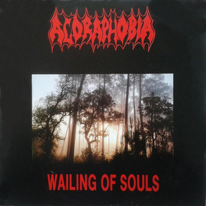 Wailing Of Souls