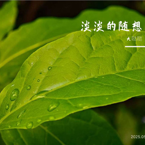 小小童心向着党