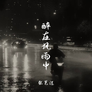 醉在风雨中