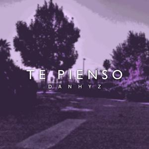 Te pienso
