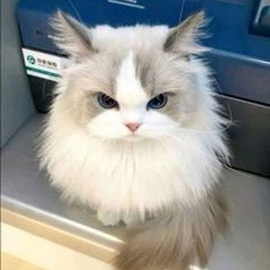 little freak (sped up + reverb)