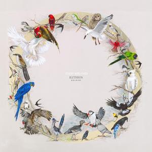 Big Bones (feat. A Very Special Episode)