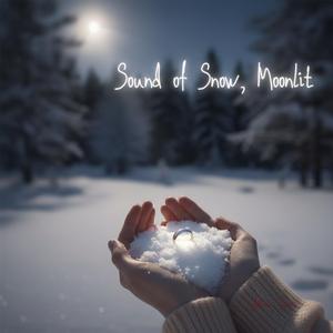 Sound of Snow, Moonlit