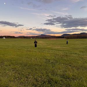 Risk It All (feat. Martin Luis)