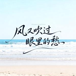 风又吹过眼里的愁（深情男声版）