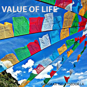 Value Of Life
