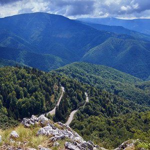 Ethereal Heights in Nature