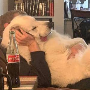 我不是你的宋冬野