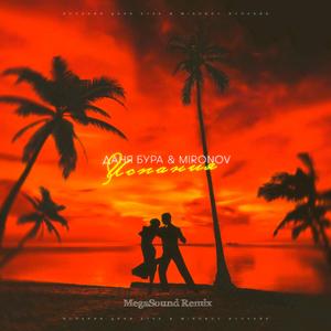 Испания (MegaSound Remix)