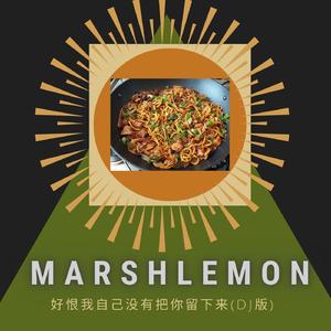 好恨我自己没有把你留下来 (Dj版)