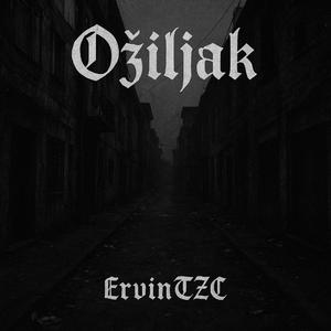 Ožiljak