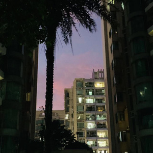 重庆森林