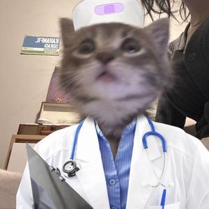 florida!!! (sped up)