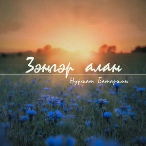 Зәңгәр алан