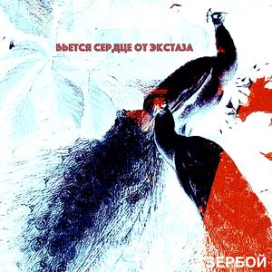 Я проклинаю тебя, зая