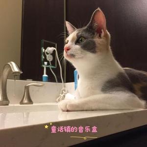 童话镇的音乐盒 宠物医院bgm