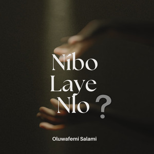 Nibo Laye Nlo
