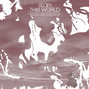This World (Wighnomy Brothers and Robag Wruhme Remix)