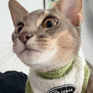 二十岁的月光照不亮三十岁的窗