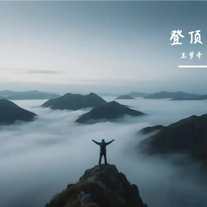 登顶