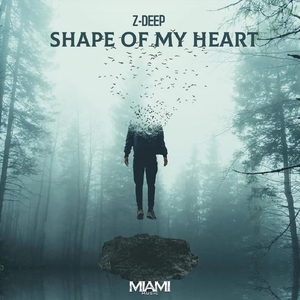 Shape of My Heart