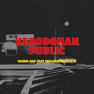 Kebodohan Public