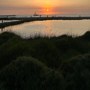 PARANOIA (feat. Klepto)