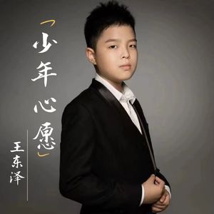 少年心愿