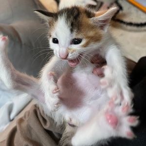 这城市一直下雨