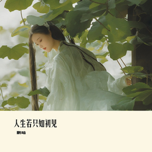 人生若只如初见