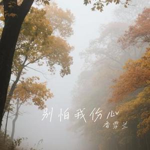 我配不上你 (Cover 夏天Alex)