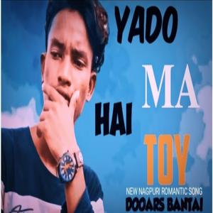 YADO MA HAI TOY