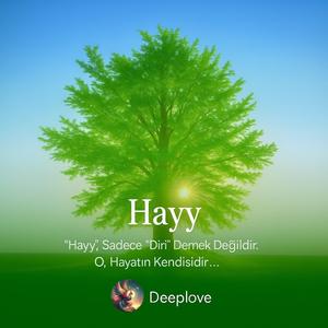 Hayy