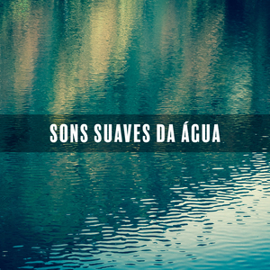 Meditação Mindfullness com Sons de Cachoeira