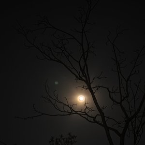 未拆封的夏天