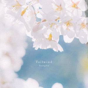 Tailwind (Inst.)